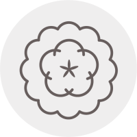 classiques revisités@300xwebp